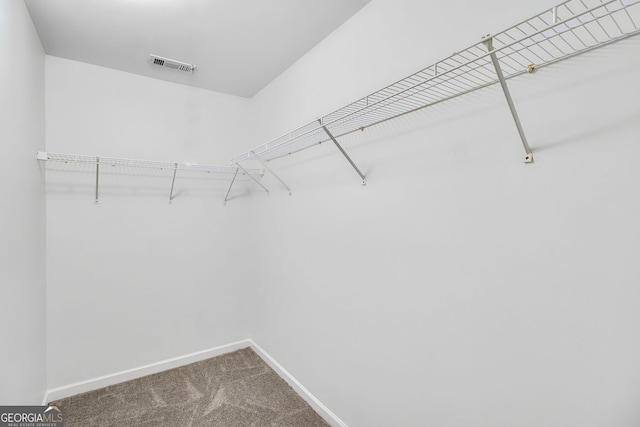 3682 Harvest Dr, Decatur, GA 30034 - walk in closet with carpet flooring