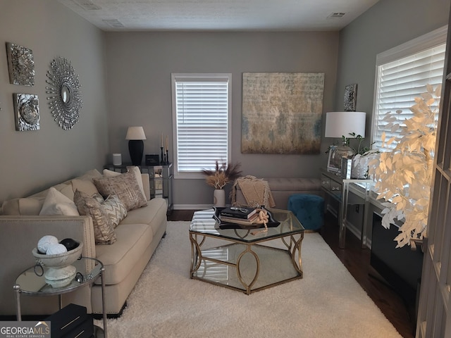 living room featuring wood finished floors, visible vents, and baseboards