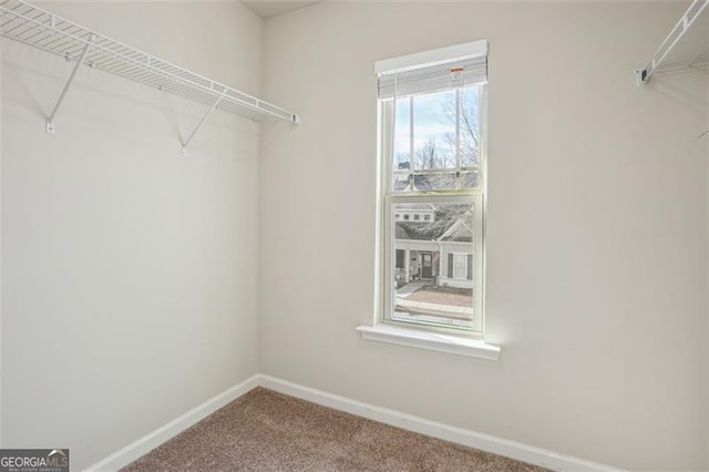 walk in closet featuring carpet floors