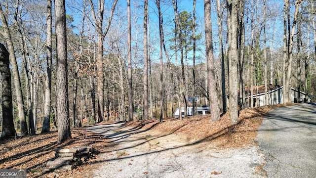 view of street with a wooded view and driveway