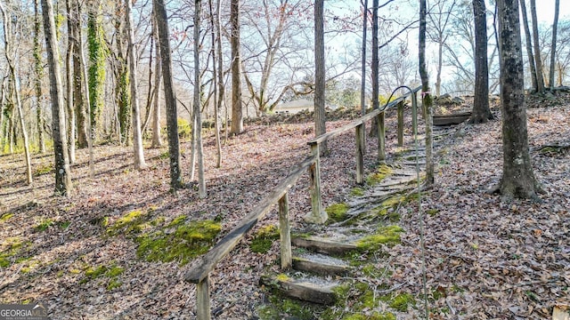 view of local wilderness