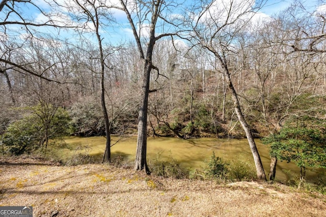 view of local wilderness featuring a wooded view