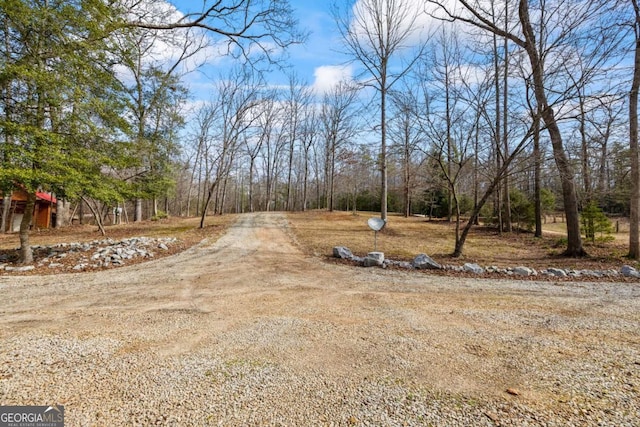 view of yard featuring driveway