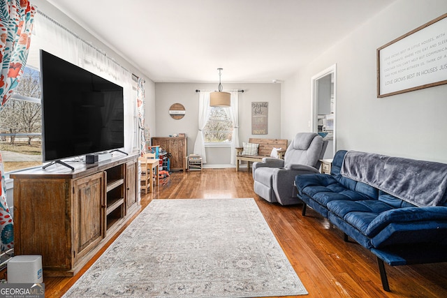 living room featuring wood finished floors