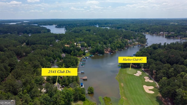 bird's eye view with a view of trees and a water view