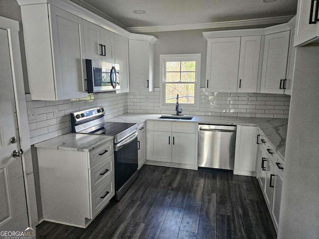 kitchen with crown molding, dark wood-style flooring, appliances with stainless steel finishes, and a sink