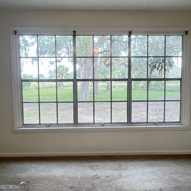 interior details with baseboards and carpet floors