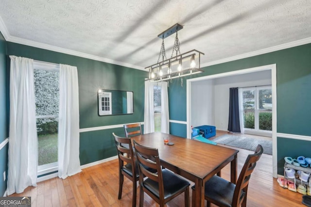 dining room with crown molding, wood finished floors, and a textured ceiling