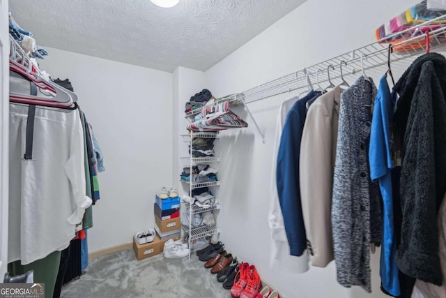 walk in closet featuring carpet flooring