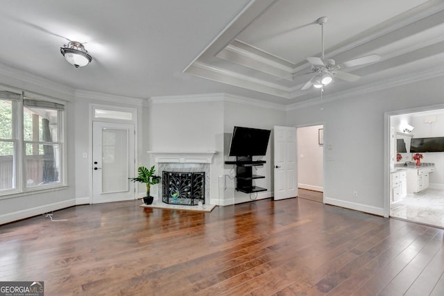 living area featuring hardwood / wood-style floors, baseboards, a tray ceiling, a fireplace, and ornamental molding