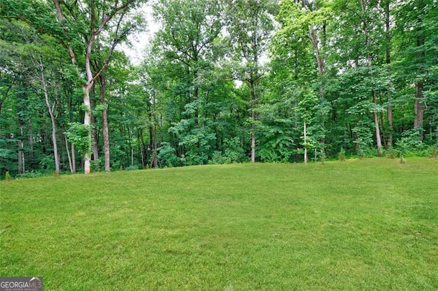 view of yard featuring a wooded view