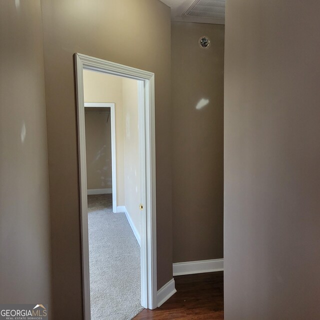 walk in closet featuring wood finished floors