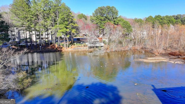 property view of water featuring a view of trees