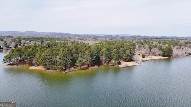 aerial view with a forest view and a water view