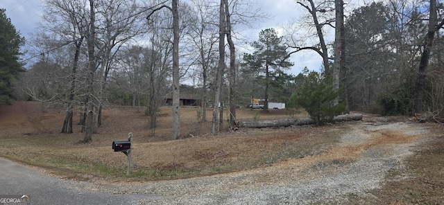 view of yard with driveway