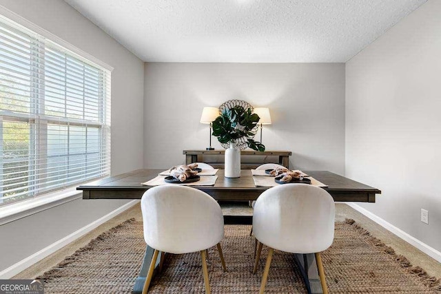 carpeted dining area with baseboards and a textured ceiling