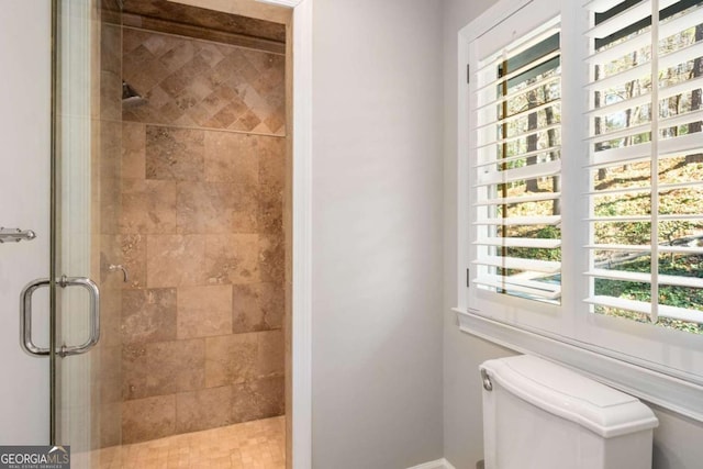 bathroom with a stall shower and toilet