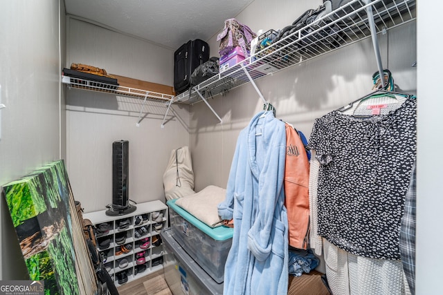 4159 Folks Dr, Blackshear, GA 31516 - view of spacious closet