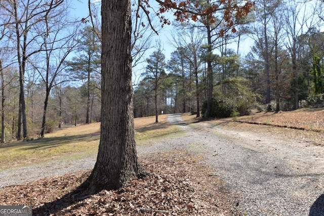 view of street featuring a wooded view