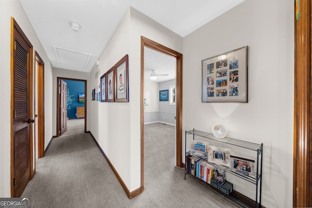 hall featuring baseboards, attic access, and carpet flooring