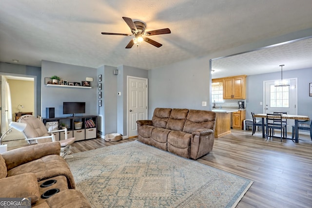 95 Volunteer Ln, Murphy, NC 28906 - living area featuring a ceiling fan, light wood-type flooring, and baseboards