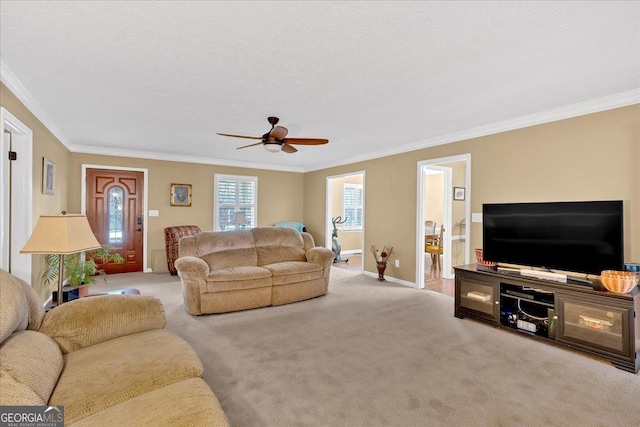 25 Wesley Trce SE, Cartersville, GA 30120 - living room with a textured ceiling, baseboards, crown molding, and carpet