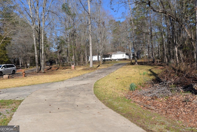 view of street with driveway