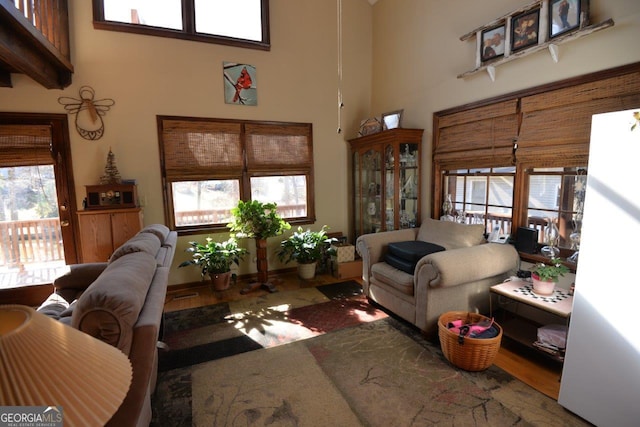 living area featuring plenty of natural light and a high ceiling