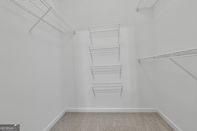 spacious closet with carpet