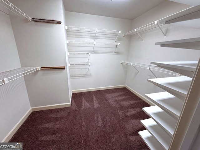 spacious closet featuring carpet