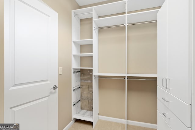 view of spacious closet