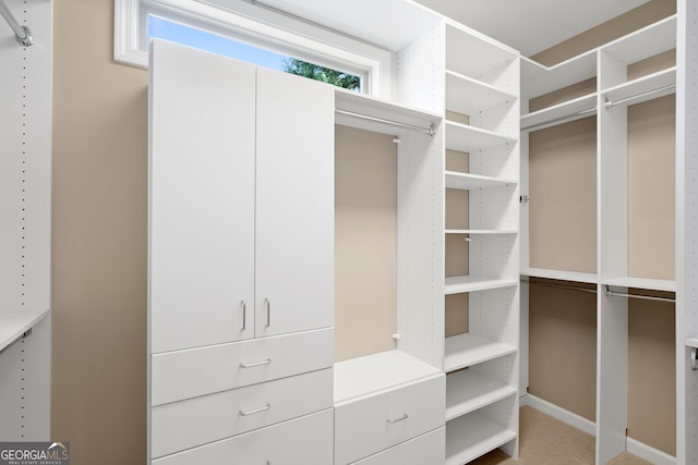 view of spacious closet