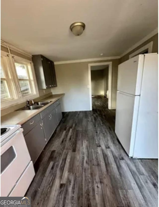 kitchen featuring a sink, white appliances, ornamental molding, and dark wood-style flooring