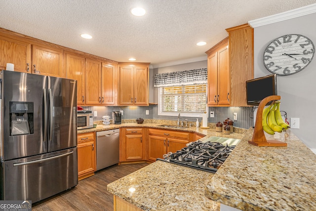 kitchen featuring dark wood-type flooring, a sink, a textured ceiling, stainless steel appliances, and crown molding