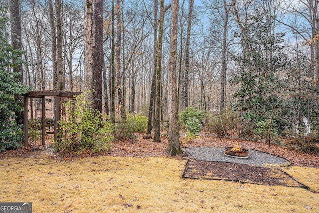 view of yard featuring a fire pit