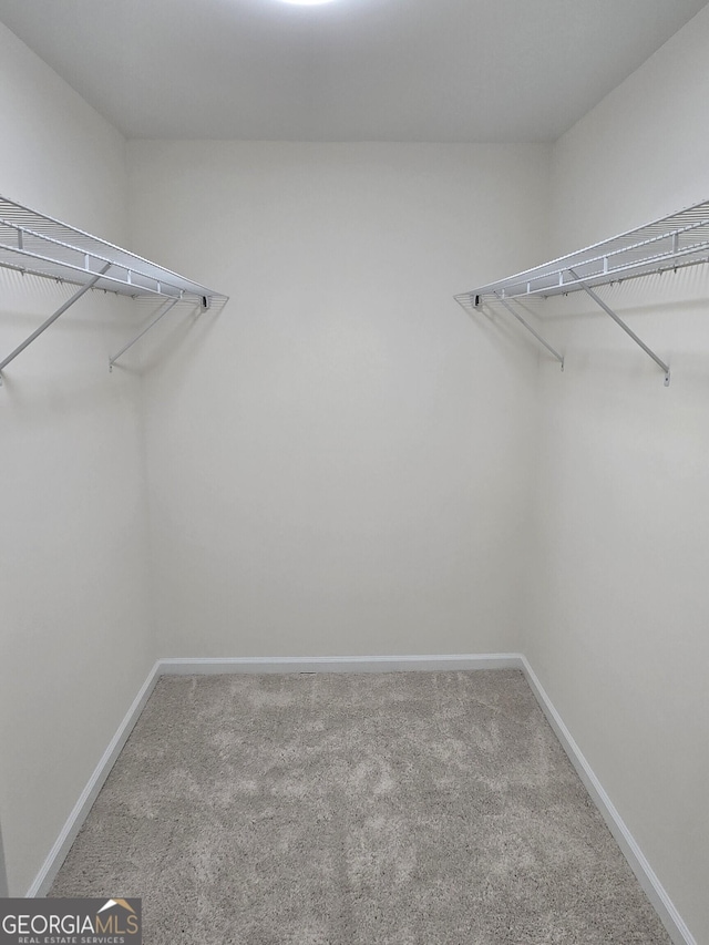 walk in closet featuring carpet flooring