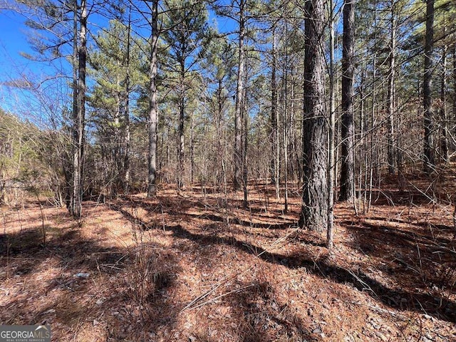 LOT50 Deyton Dr, Blairsville GA, 30512 land for sale