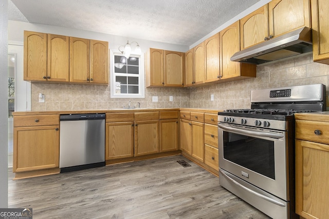 kitchen with under cabinet range hood, light wood finished floors, appliances with stainless steel finishes, and backsplash