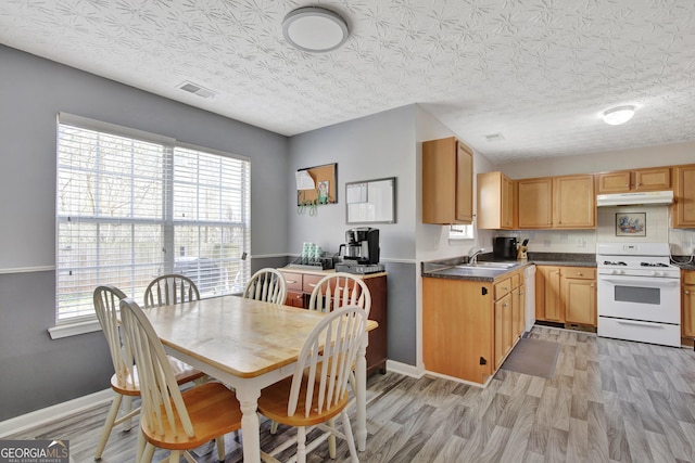 kitchen featuring visible vents, under cabinet range hood, a sink, white gas range oven, and light wood finished floors