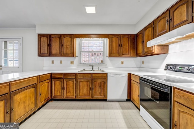 kitchen featuring dishwasher, a wealth of natural light, under cabinet range hood, and range with electric cooktop