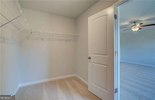 walk in closet with a ceiling fan and light colored carpet