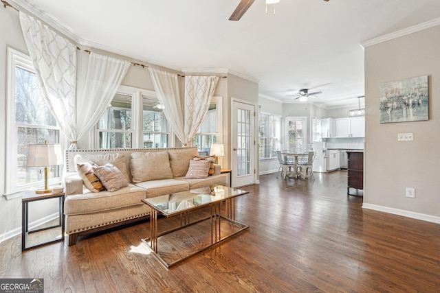 living area featuring crown molding, ceiling fan, and dark wood-style flooring