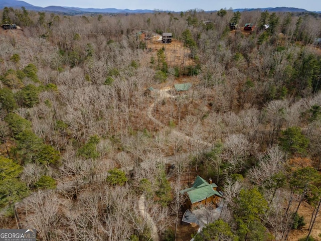 birds eye view of property featuring a mountain view and a view of trees