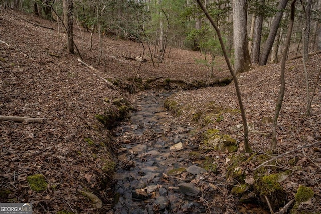 view of local wilderness