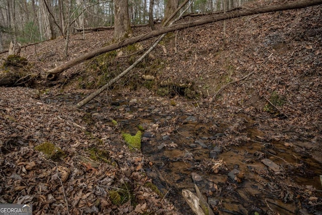 view of local wilderness