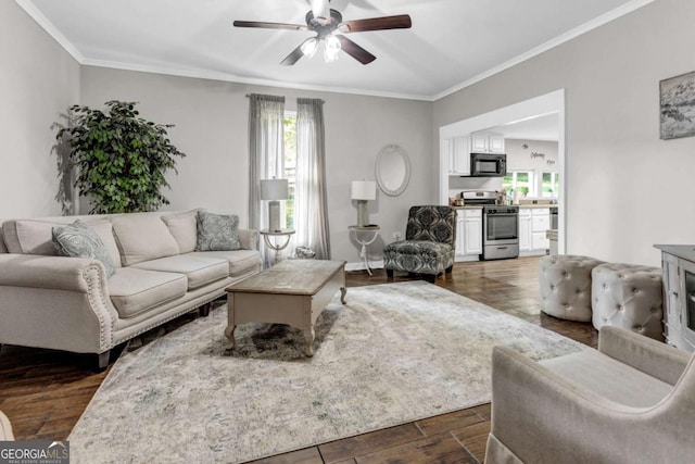 living area featuring a wealth of natural light, crown molding, dark wood-type flooring, and a ceiling fan