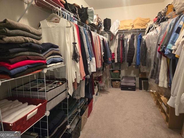 walk in closet with carpet floors