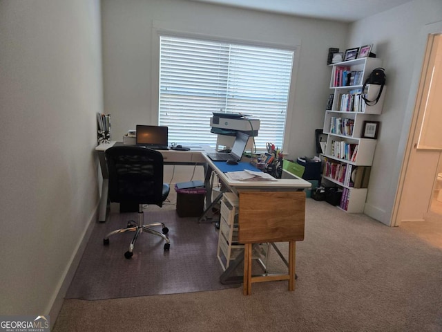 office space with baseboards and carpet floors