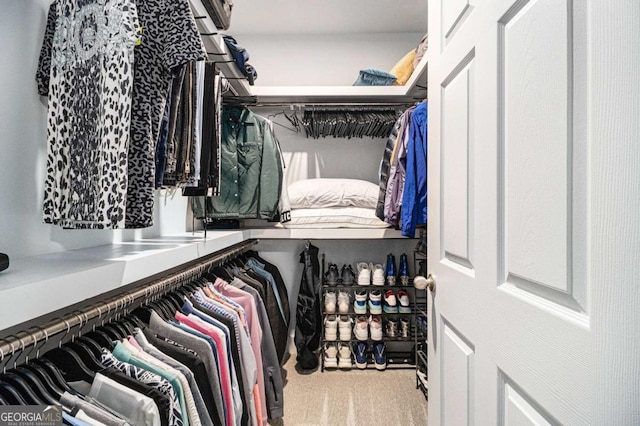 spacious closet with carpet flooring