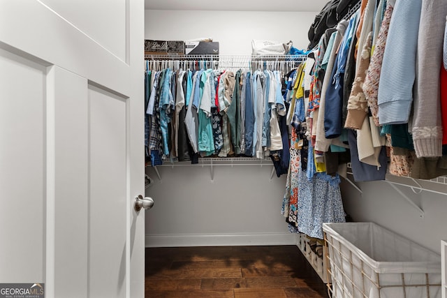 walk in closet featuring wood finished floors